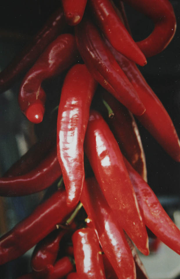 Calabrian chili