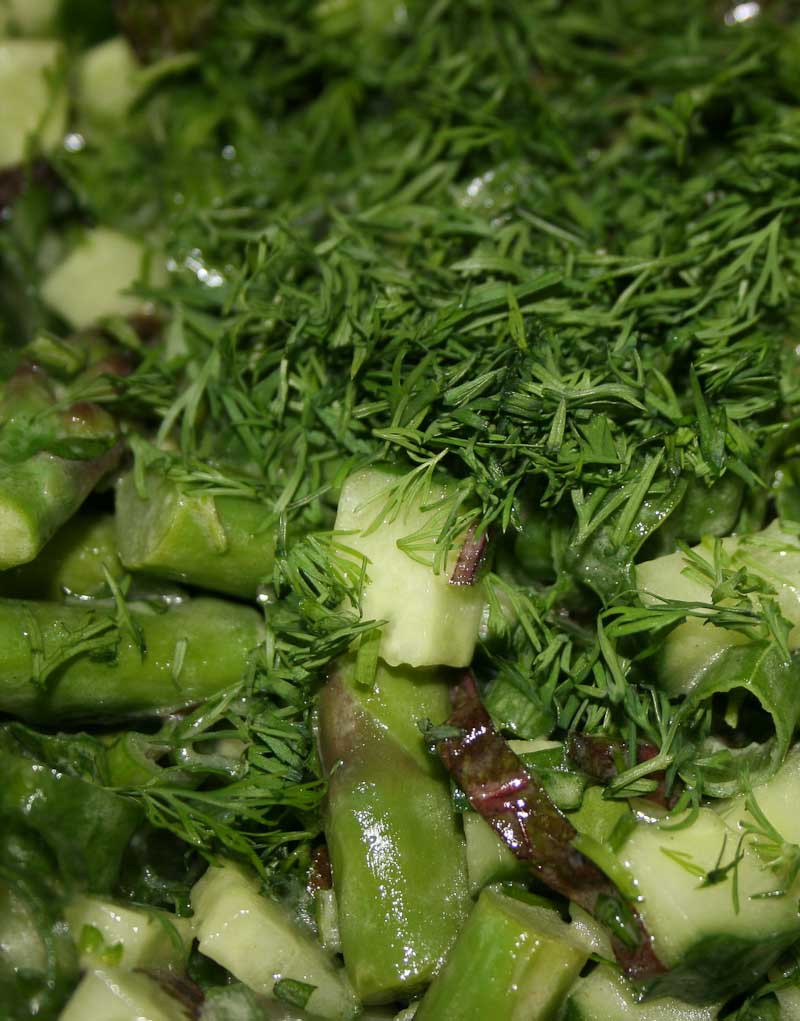Mixed green salad with asparagus, rocket and dill