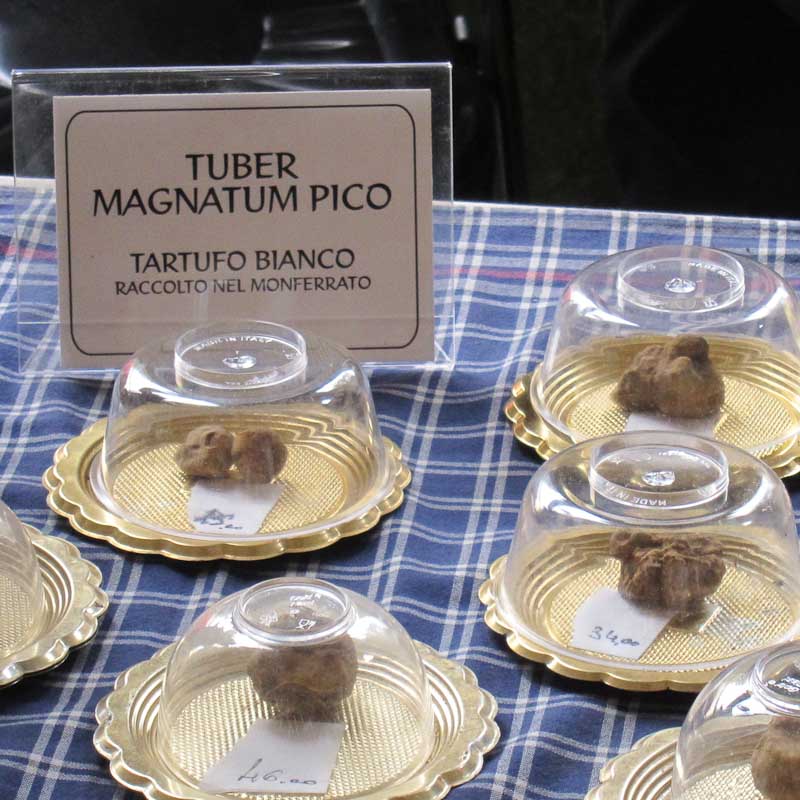 Photo of white truffles - gifts with a taste of Italy - Italian Notes