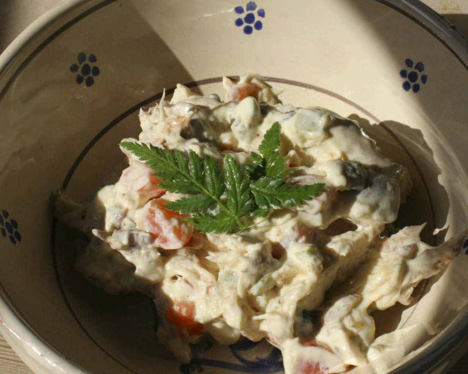 Smoked mackerel salad