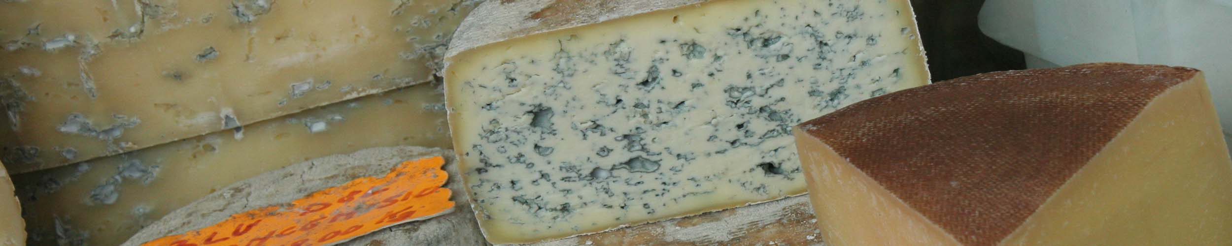 Gorgonzola myths - Italian Notes