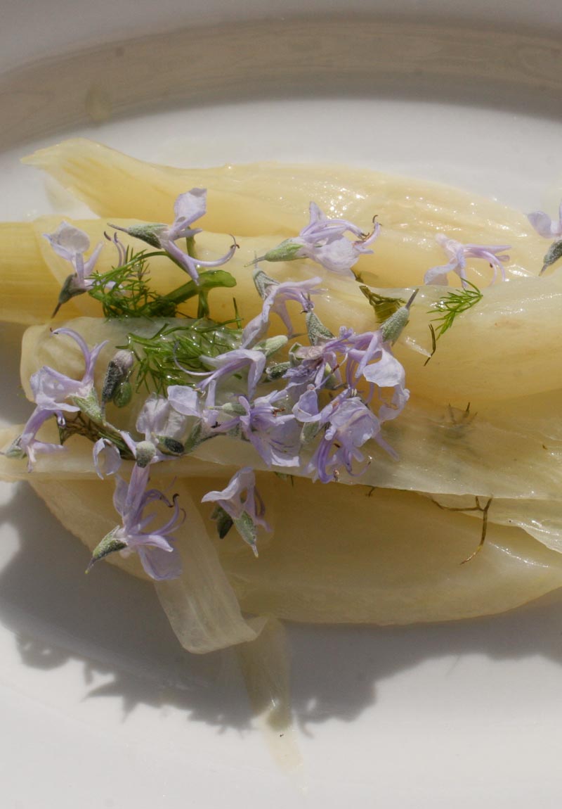 Photo of preserve fennel