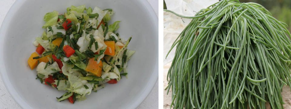 Salad with wild herbs - Italian Notes