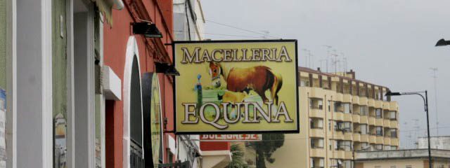 Horse meat butchers