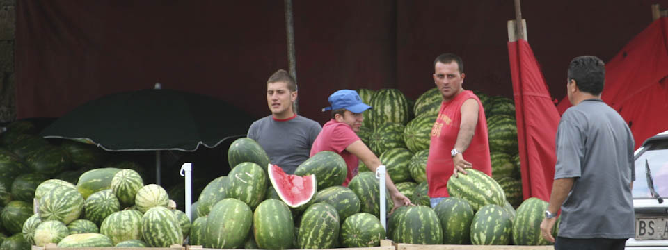 watermelon facts and trivia