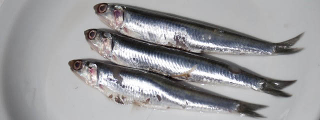 Photo of How to make marinated anchovies - Italian Notes