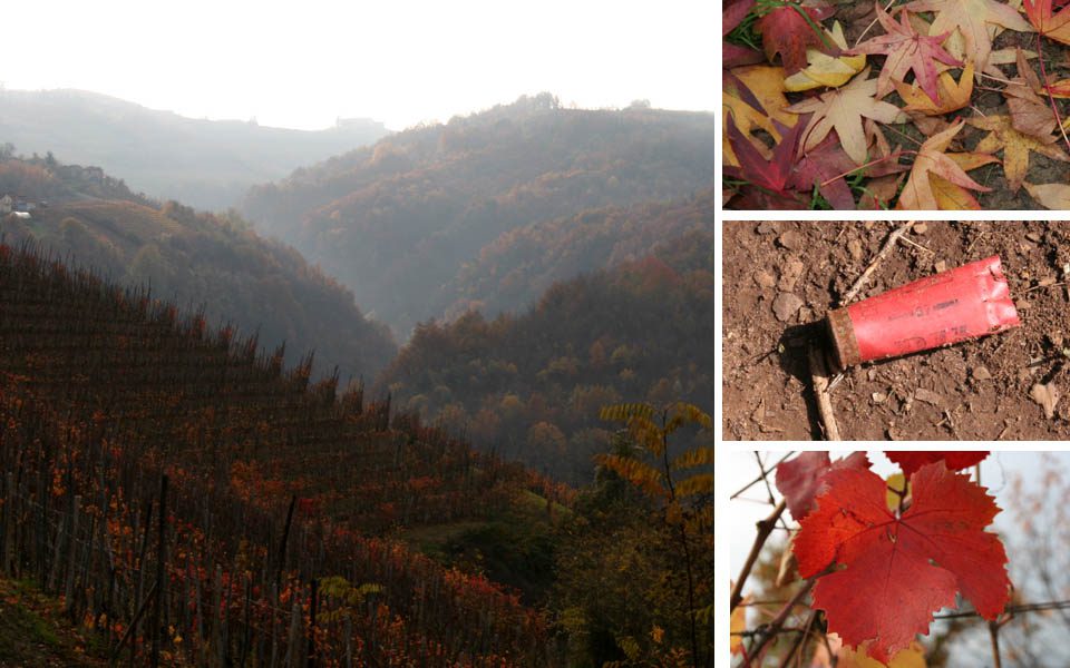 Autumn hunting grounds in Italy