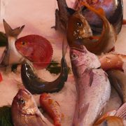 Fish from Palermo markets