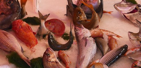 Fish from Palermo markets