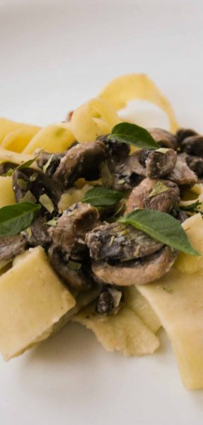 Creamy mushroom pasta sauce recipe