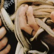 Cocullo snake festival