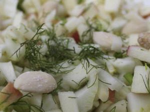 Fennel apple salad