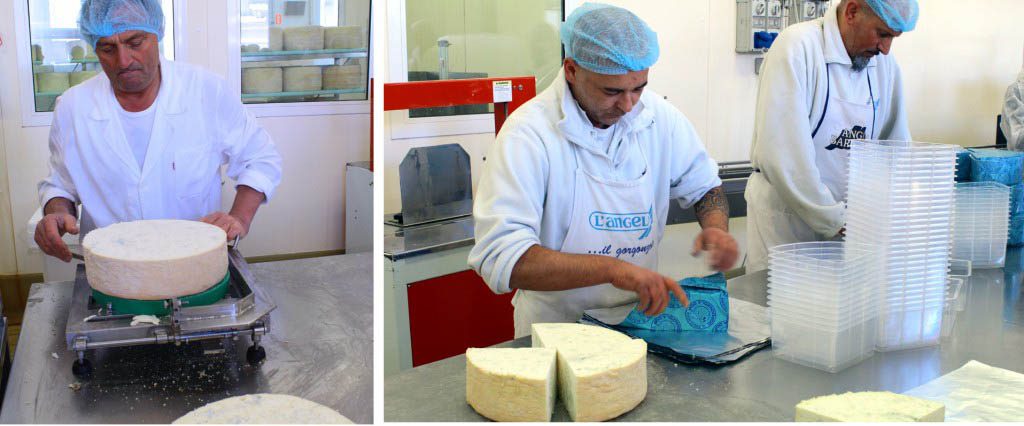 Visit to a gorgonzola dairy 