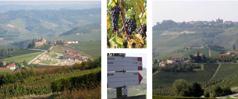 Outdoor activities in the land of Barolo
