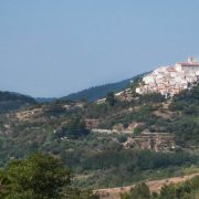 Transhumance through Bojano in Molise