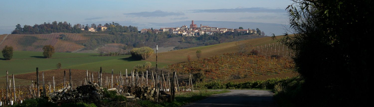 Notes on Piemonte-Piedmont - Barolo hill towns