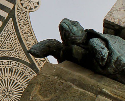 Turtles in Piazza Santa Maria Novella in Florence