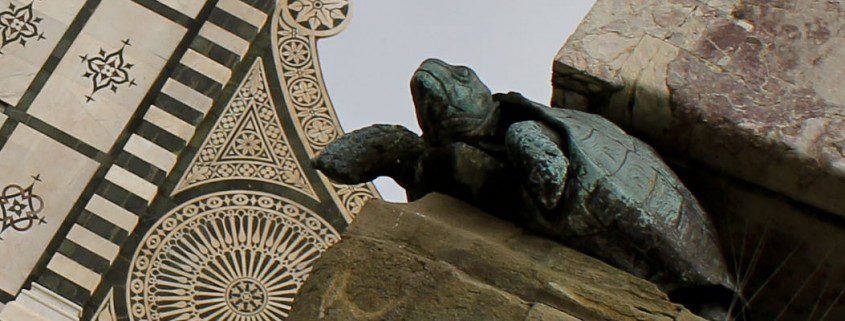 Turtles in Piazza Santa Maria Novella in Florence