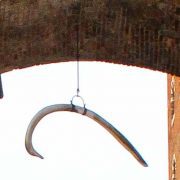 Whalebone in Verona