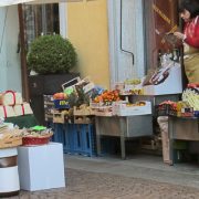 Alba is All About Food