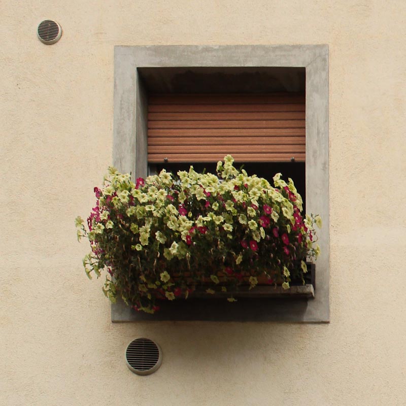 Photo of window boxes in San Daniele del Friuli