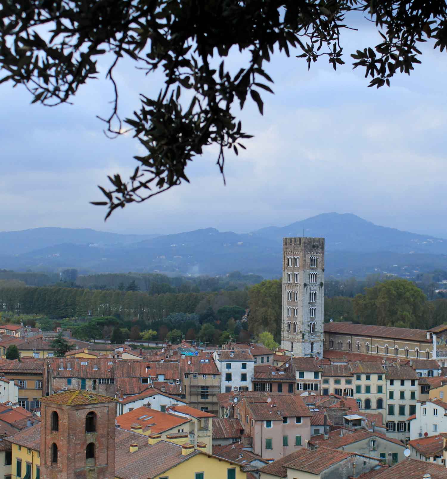 Giunigi Tower in Lucca