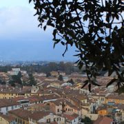 Giunigi Tower in Lucca