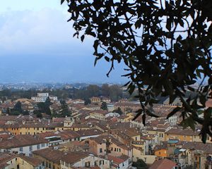 Giunigi Tower in Lucca