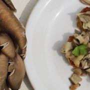 Oyster mushroom bruschette