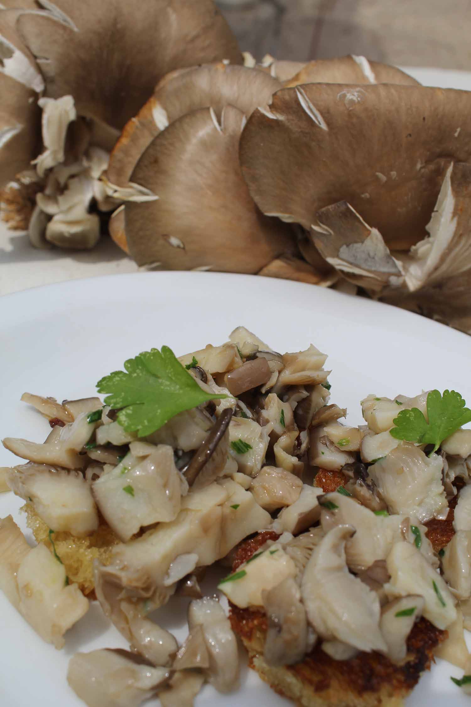 Oyster mushroom bruschette