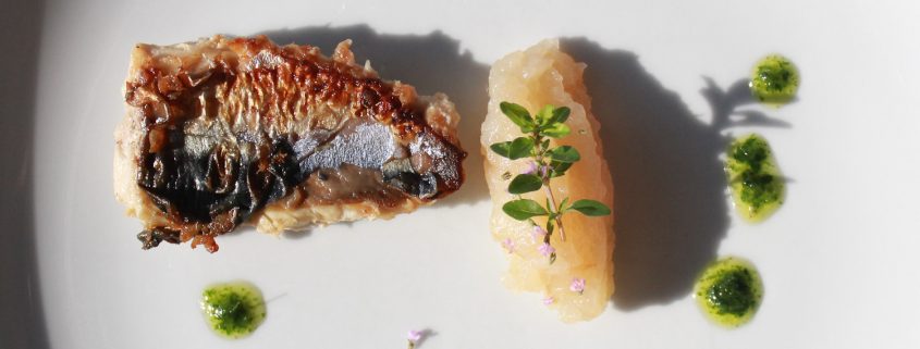 Caramelised Mackerel - Italian Notes