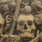 Cathedral of Otranto - Italian Notes