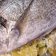 Baked Sea Bream with Potatoes - Orata alla Pugliese Italian Notes