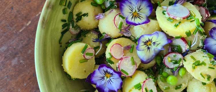 Fresh spring potato salad